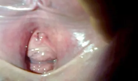 ông thích tình sex trò chơi nhật bản dục trong Kamasutra