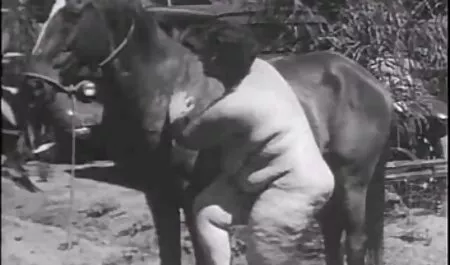 Nước Nhật bản của ngày hôm nay Kuramoto game show sex nhat ban bắt