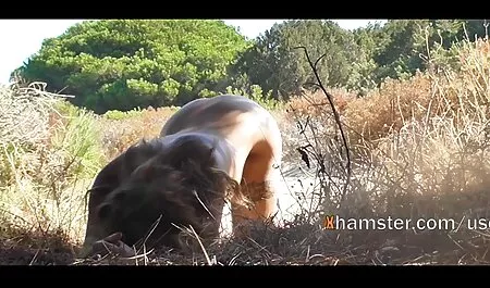 Thẳng đến các chàng Paulie, cởi game show sex nhật bản quần áo, đồ vụng về video