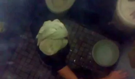 Đó Là Jasmine, Kiểu game sex cua nhat Chó.