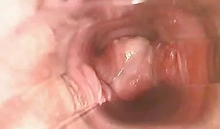 Các bạn trẻ, thư ký 